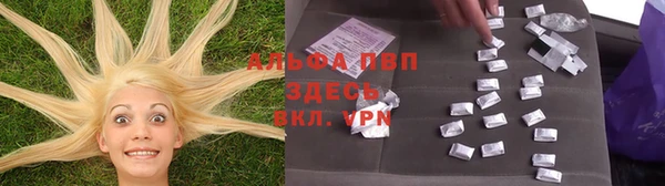 ECSTASY Алзамай