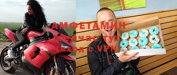 ECSTASY Алзамай